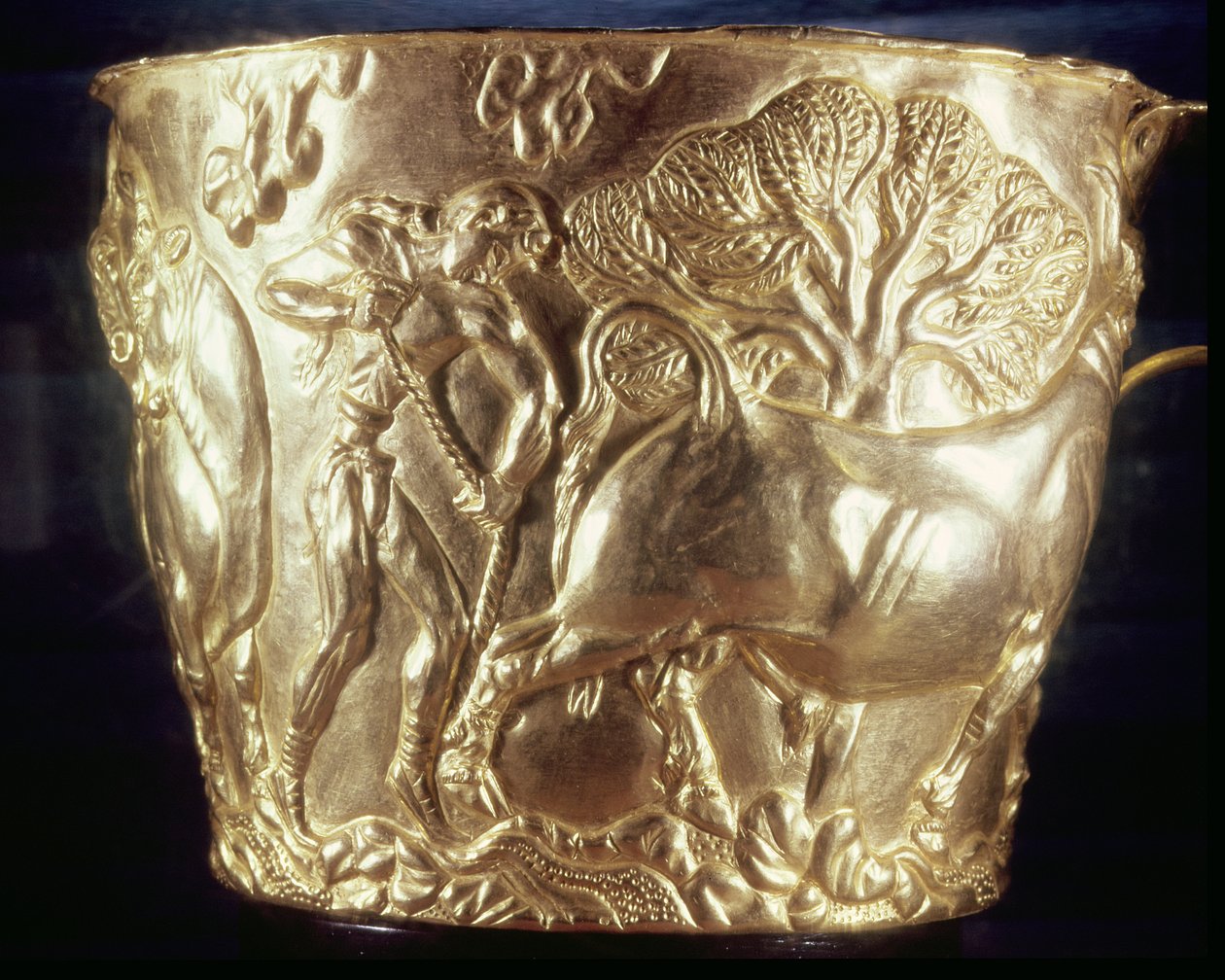 كأس ، يصور ثورًا محليًا ، تم العثور عليه في المقبرة الملكية لـ Vaphio ، Sparta ، أواخر Minoan I ، c.1500 قبل الميلاد (الذهب) (انظر أيضًا 155940) بواسطة مينوان