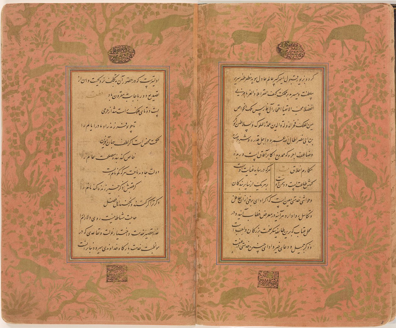  بواسطة أنا عماد حساني