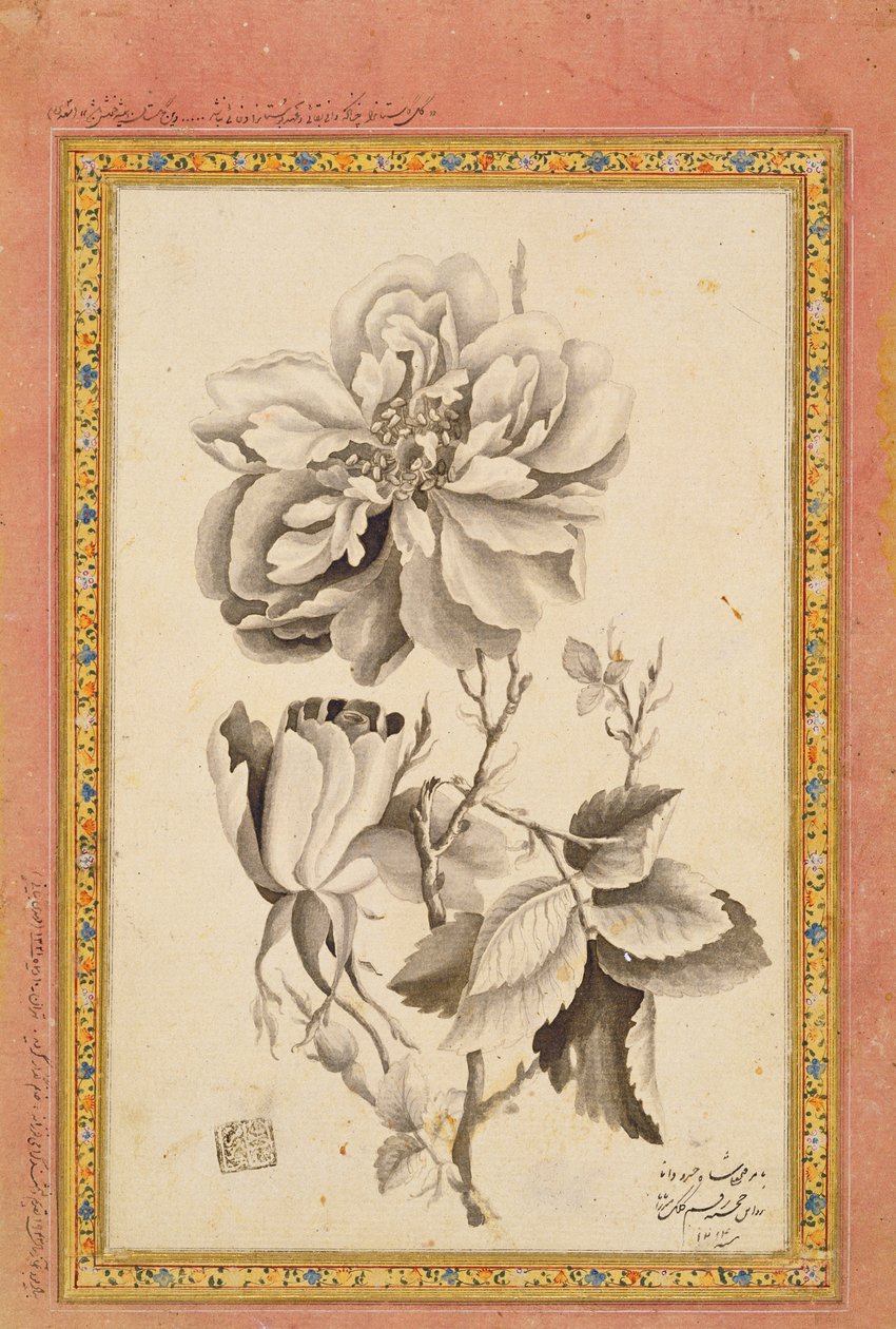 روز ، 1799-1800 (يغسل الحبر على الورق) بواسطة ميرزا بابا