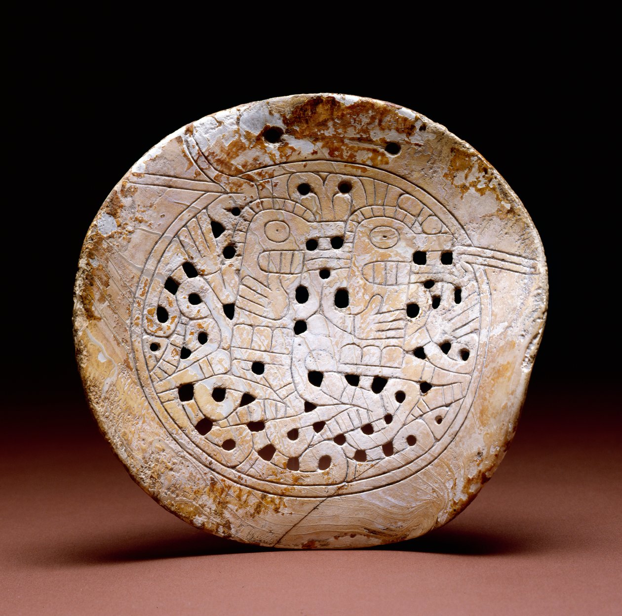 شيل جورجيت ، دالاس فيز ، 1300-1500 (شل البحرية) بواسطة ثقافة المسيسبي
