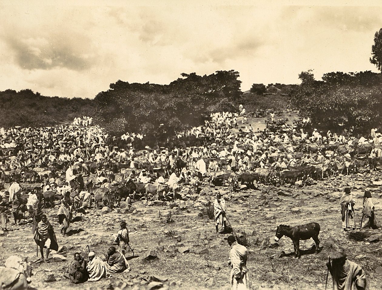 "بناء إمبراطورية" في العصر الفاشي: السوق الحبشي ، 09/05/1936 (b / w photo) بواسطة موديستينو بالدينيتي