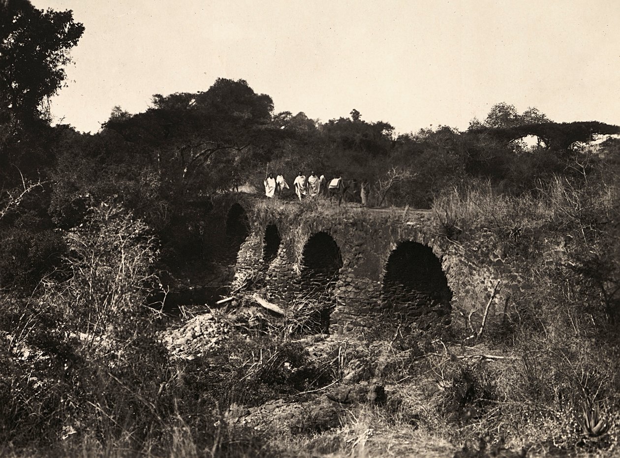 "بناء إمبراطورية" في العصر الفاشي: جسر برتغالي ، 09/05/1936 (b / w photo) بواسطة موديستينو بالدينيتي