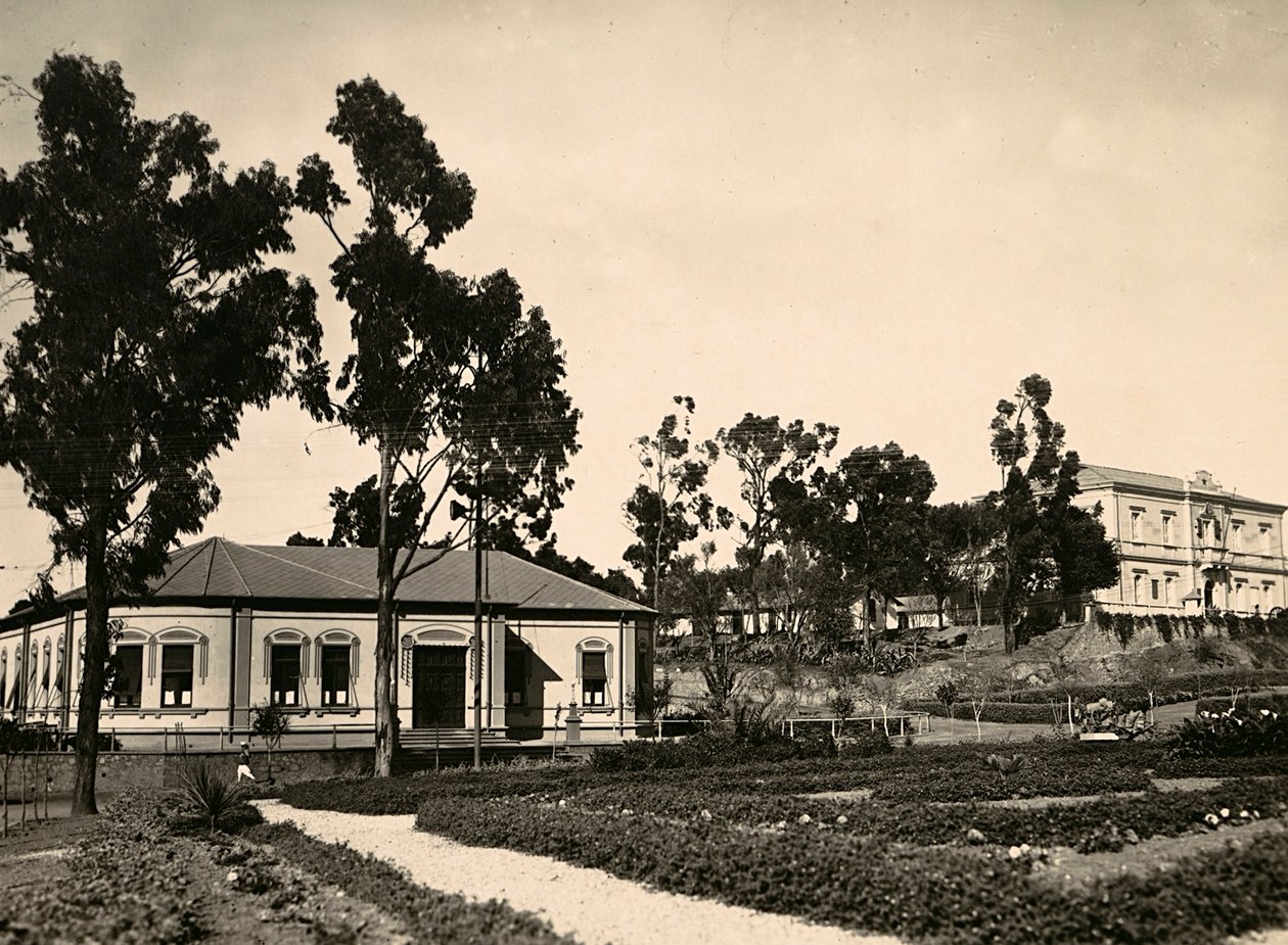 "بناء إمبراطورية" في العصر الفاشي: دائرة المسؤولين في أسمرة ، 09/05/1936 (b / w photo) بواسطة موديستينو بالدينيتي
