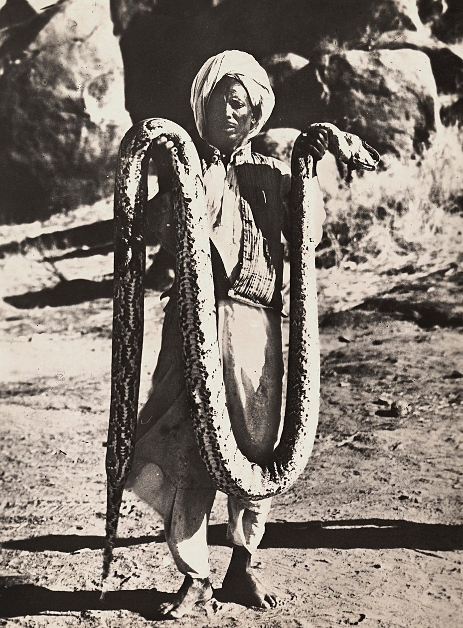 "بناء إمبراطورية" في العصر الفاشي: إنديجين مع ثعبان ، 09/05/1936 (b / w photo) بواسطة موديستينو بالدينيتي