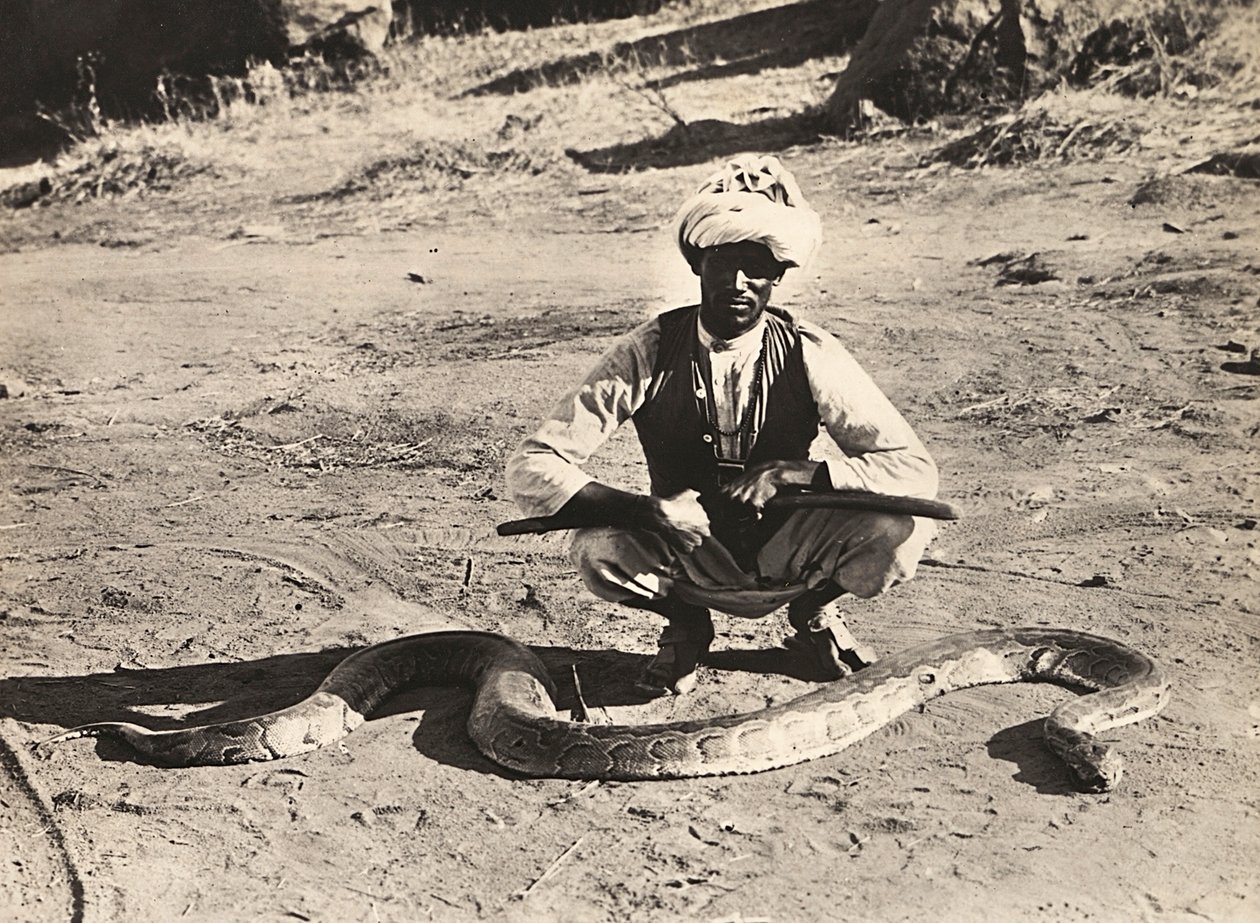 "بناء إمبراطورية" في العصر الفاشي: إنديجين مع ثعبان ، 09/05/1936 (b / w photo) بواسطة موديستينو بالدينيتي