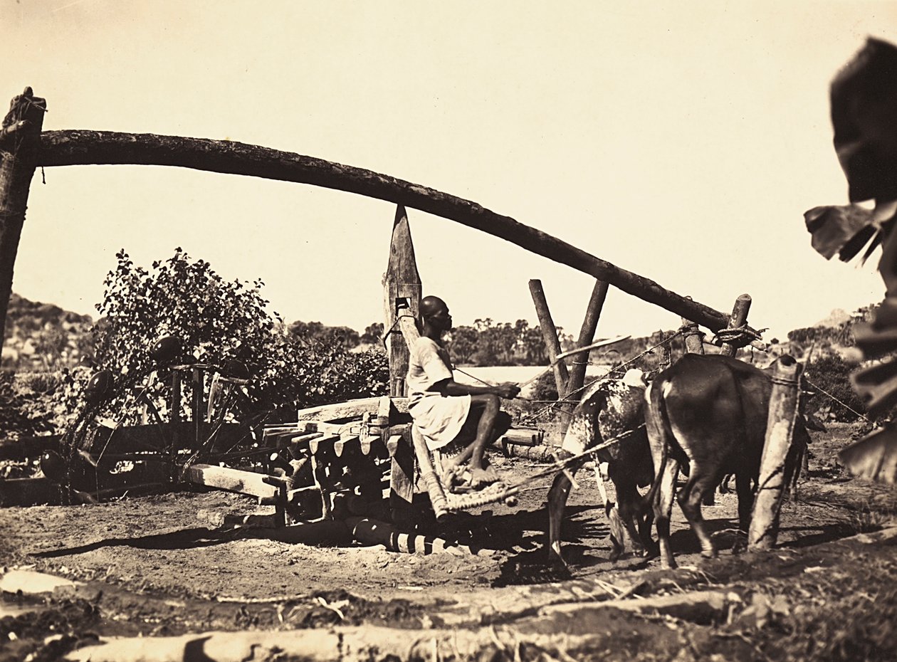 "بناء إمبراطورية" في العصر الفاشي: نوريا الأصلية ، 09/05/1936 (b / w photo) بواسطة موديستينو بالدينيتي
