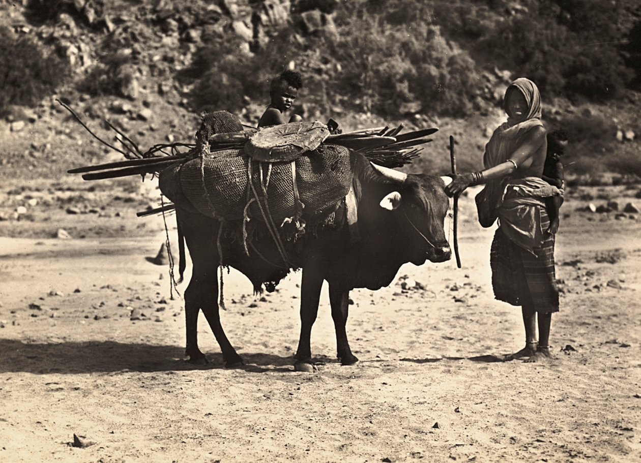 "بناء إمبراطورية" في العصر الفاشي: الرحل ، 09/05/1936 (صورة بالأبيض والأسود) بواسطة موديستينو بالدينيتي