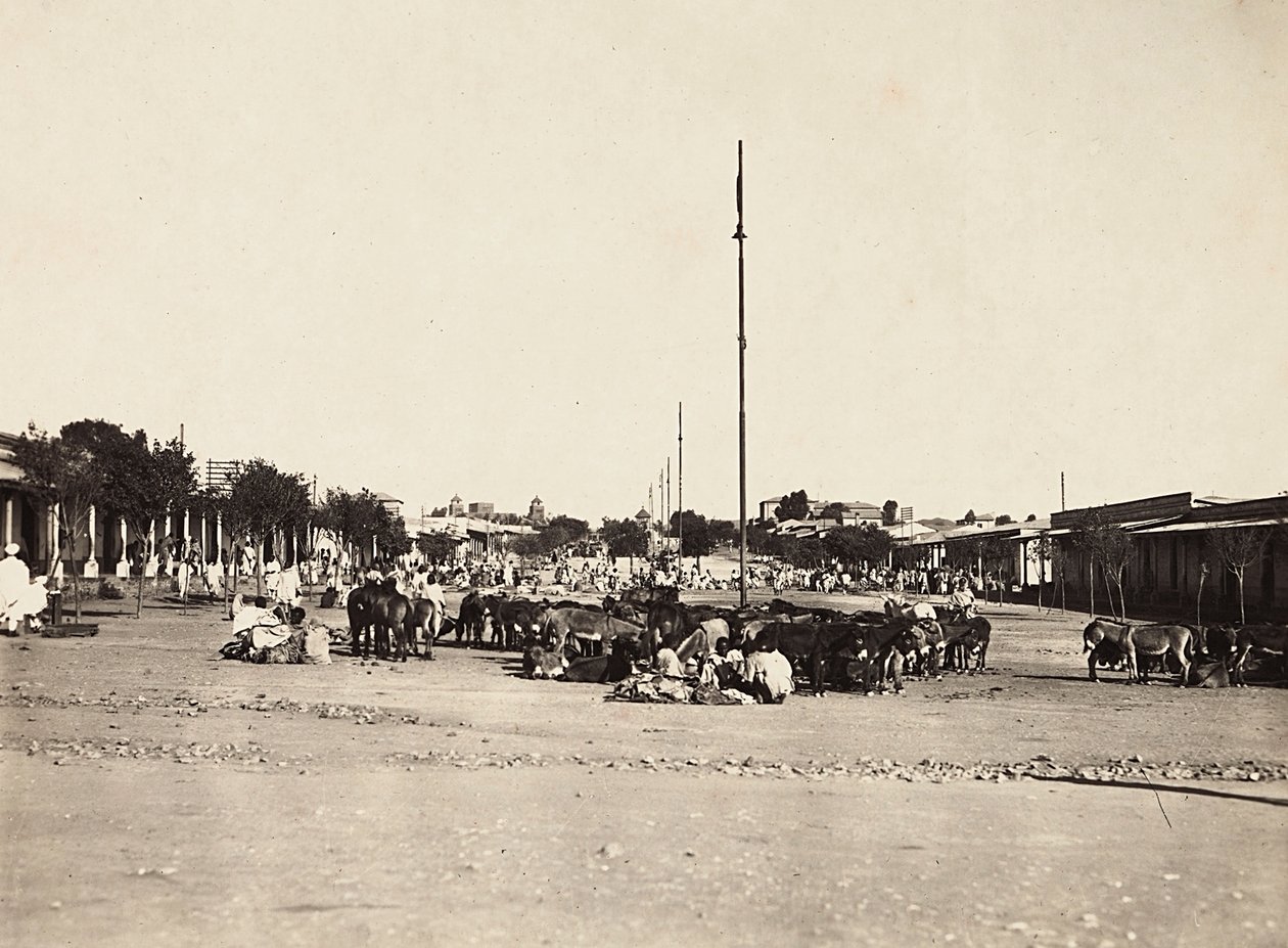 "بناء إمبراطورية" في العصر الفاشي: ساحة السوق القديمة في أسمرة ، 09/05/1936 (b / w photo) بواسطة موديستينو بالدينيتي