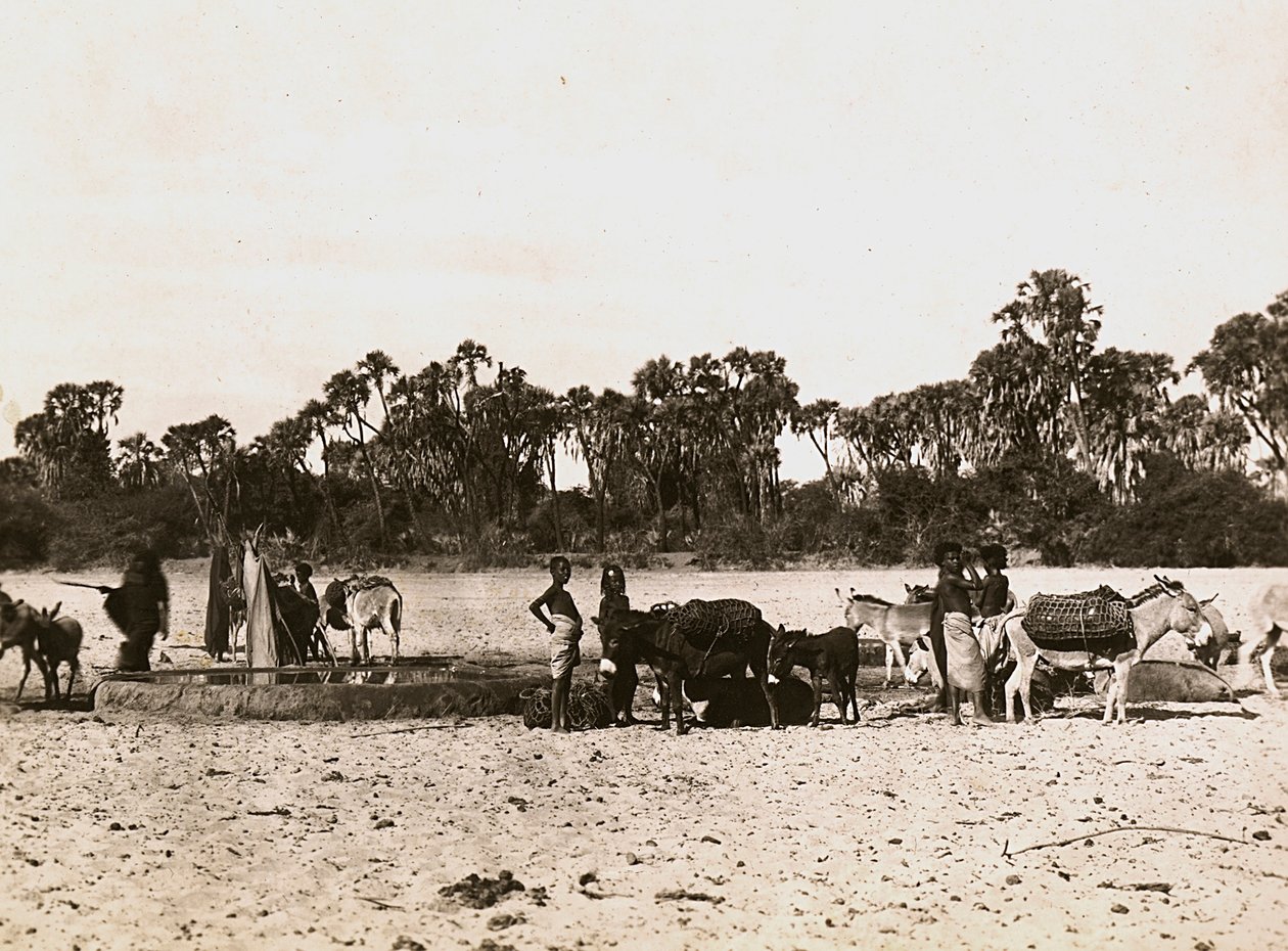 "بناء إمبراطورية" في العصر الفاشي: الآبار في جاسك ، 09/05/1936 (b / w photo) بواسطة موديستينو بالدينيتي