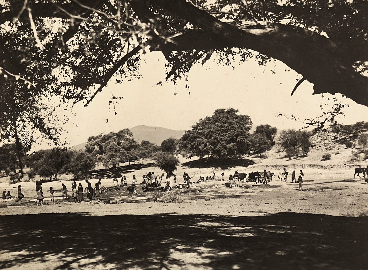 "بناء إمبراطورية" في العصر الفاشي: آبار في السهل السفلي ، 09/05/1936 (b / w photo) بواسطة موديستينو بالدينيتي