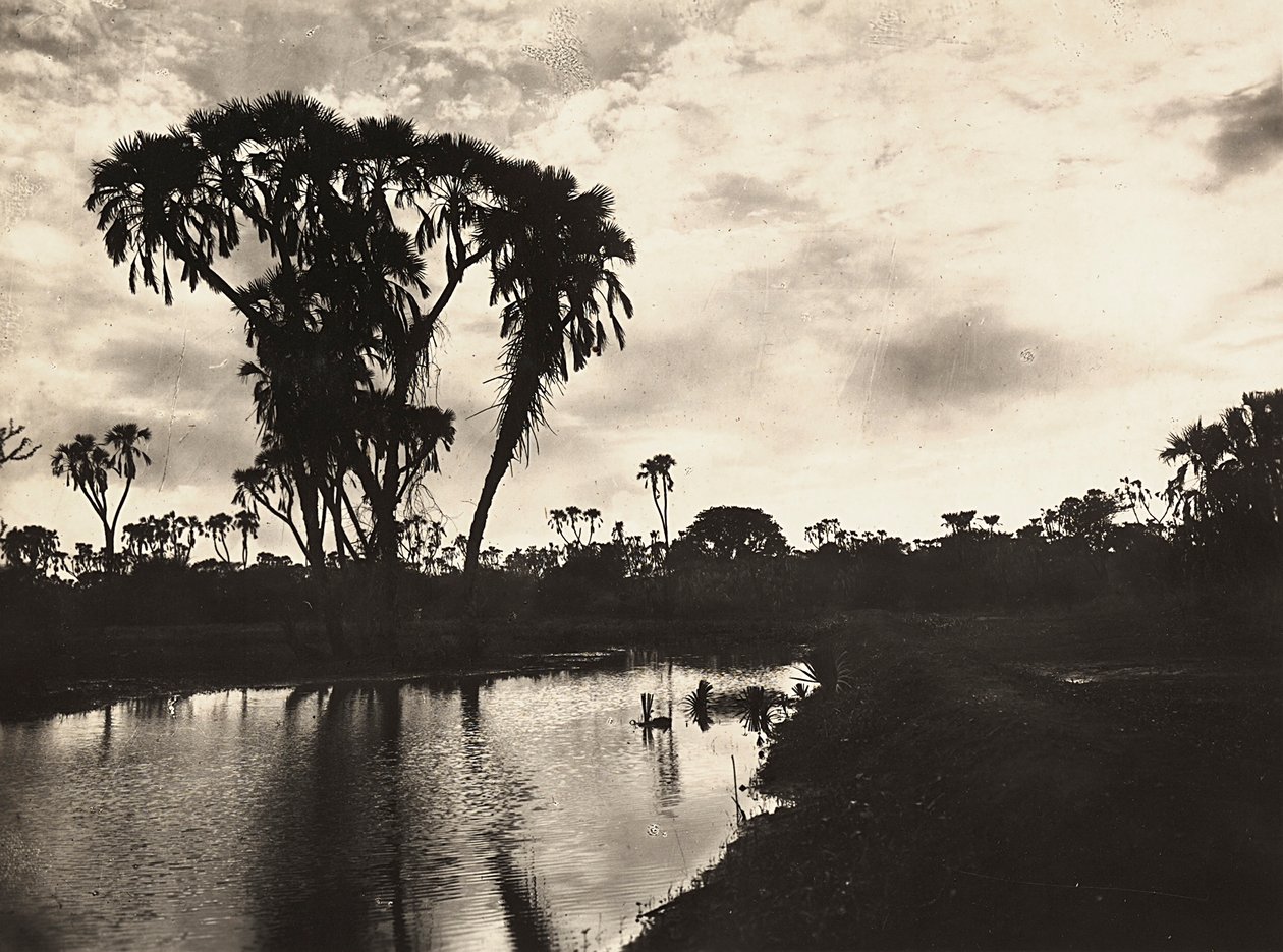 "بناء إمبراطورية" في العصر الفاشي: السهل الغربي السفلي ، 09/05/1936 (صورة بالأبيض والأسود) بواسطة موديستينو بالدينيتي