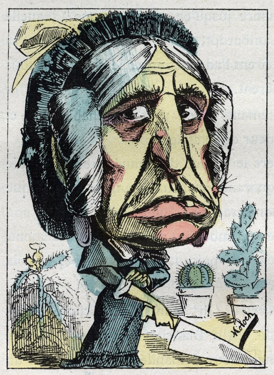 استعارة "" زوجة الأب "" (بيل مجرد) في "" Le Trombinoscope "من تأليف توشاتوت ، رسم كاريكاتوري بقلم ب. مولوخ عام 1882 (1849-1909). مجموعة خاصة. بواسطة الطاغوت