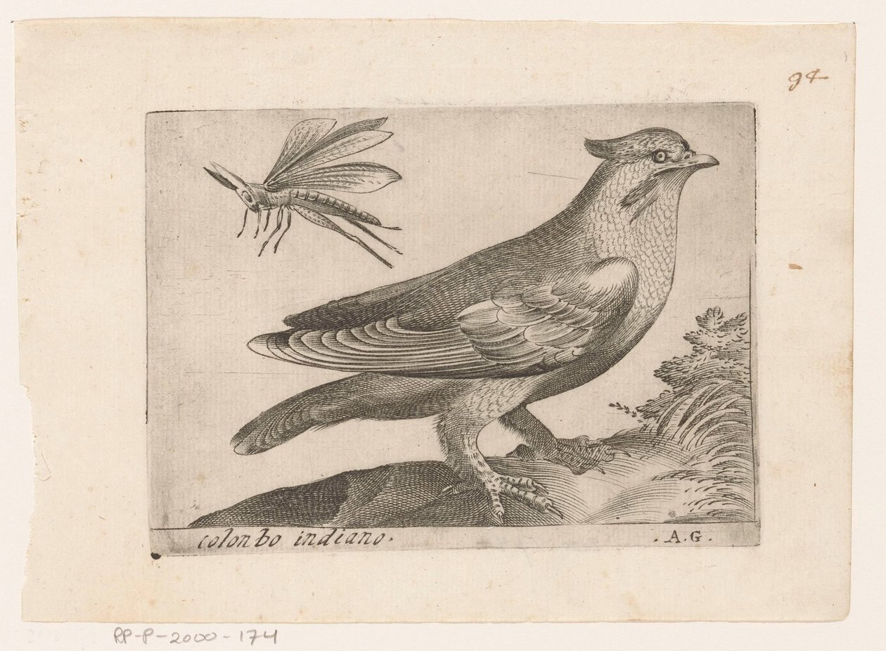 بيستفوجيل (بومبييلا جارولوس) كولونبو إنديانو (العنوان على الكائن) Vogels (عنوان المسلسل) بواسطة مونوجراميست AG