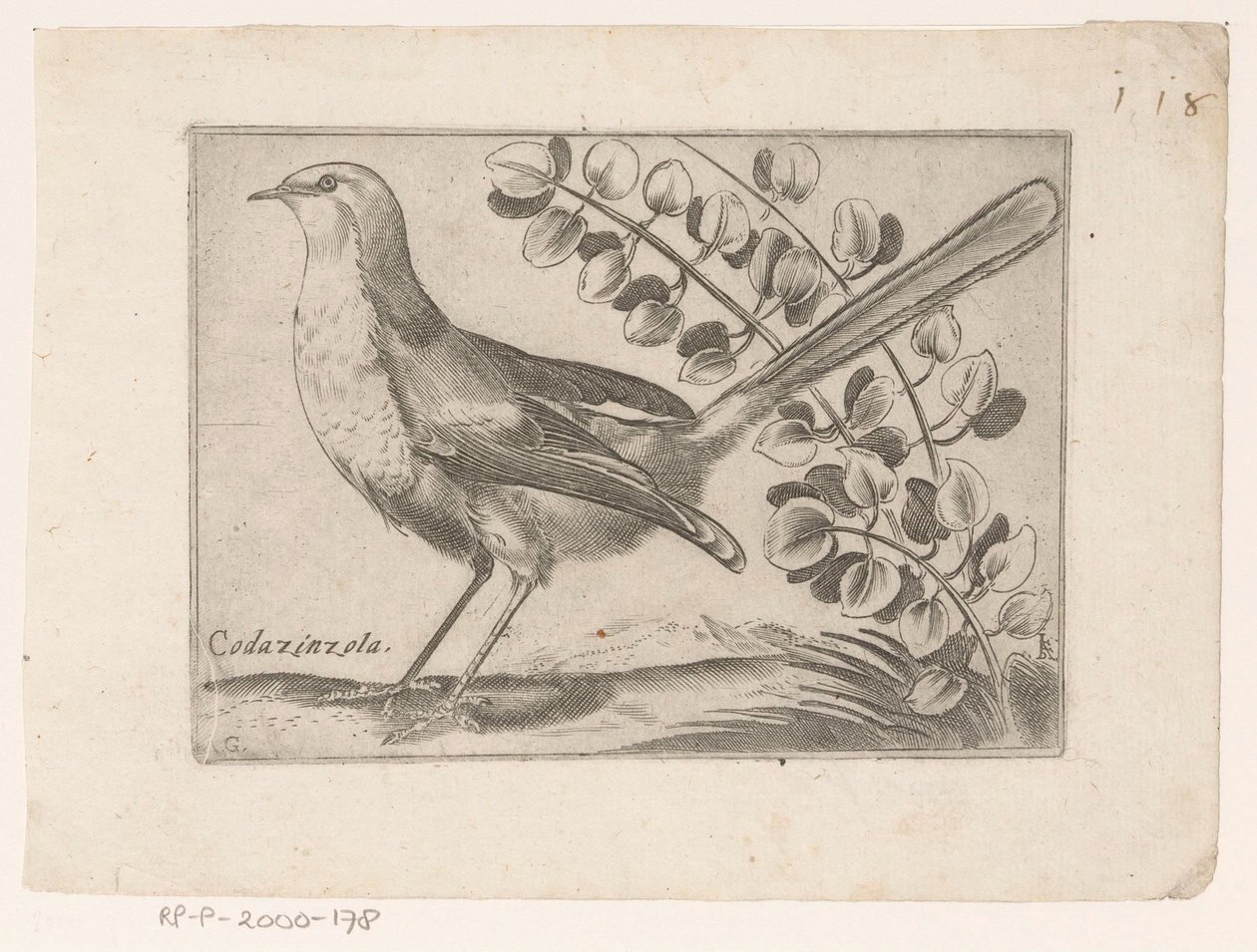 فوجل كودازينزولا (العنوان على الكائن) Vogels (عنوان المسلسل) بواسطة مونوجراميست AG