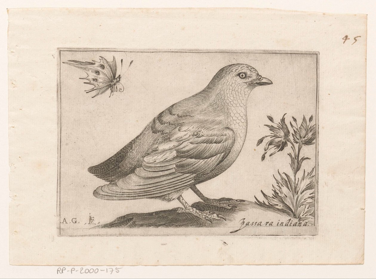 فوجل باسرا إنديانا (العنوان على الكائن) Vogels (عنوان المسلسل) بواسطة مونوجراميست AG