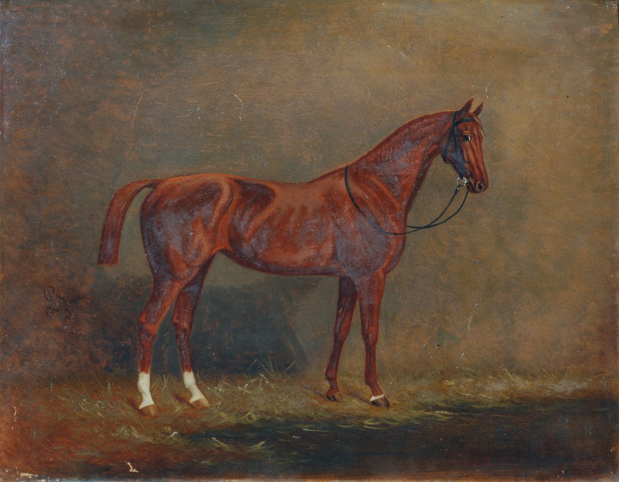 صورة لركوب الخيل بواسطة مونوجراميست AG