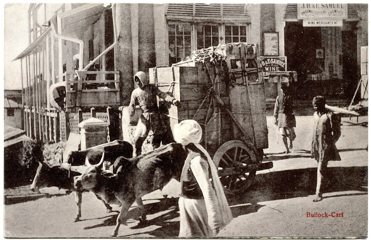 بولوك كارت ، c.1900-20 بواسطة مورلي ضور وأولاده