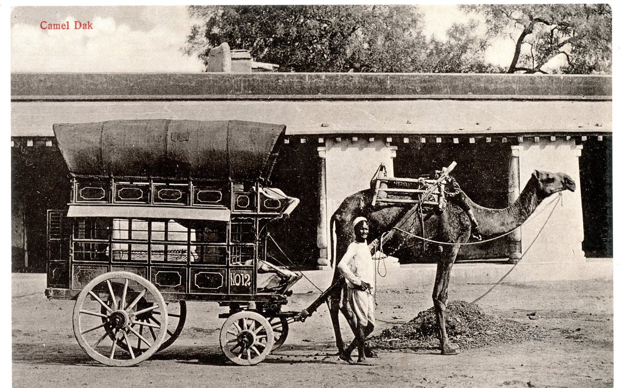 داك الجمل ، 1911-12 (صورة بني داكن) بواسطة مورلي ضور وأولاده