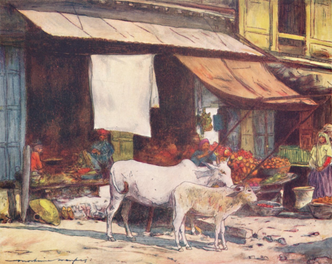 ركن سوق الفاكهة ، دلهي ، 1905 بواسطة مورتيمر لودينجتون مينبس