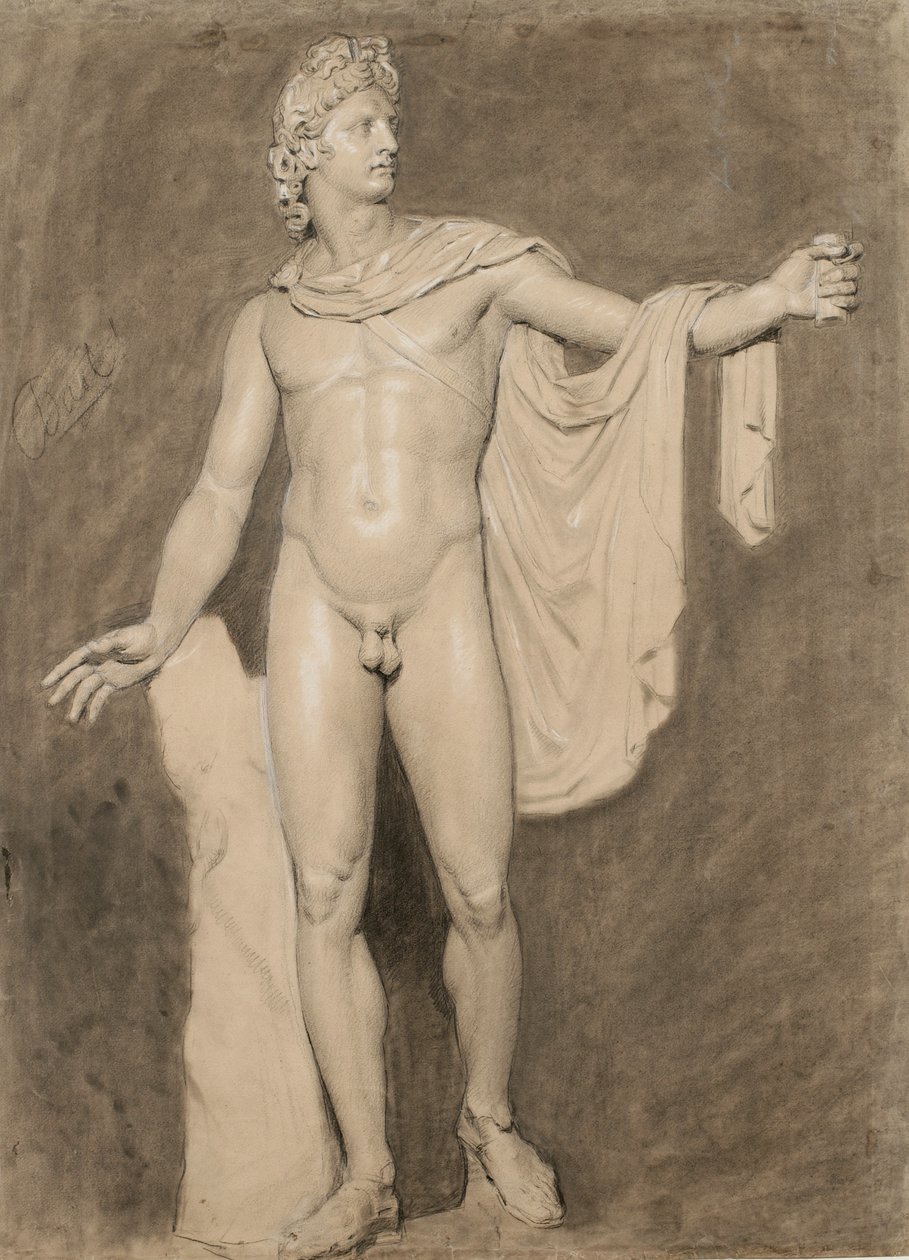 Cast of the Apollo Belvedere (black & white chalk with wash on paper) بواسطة موسلي دانفورث