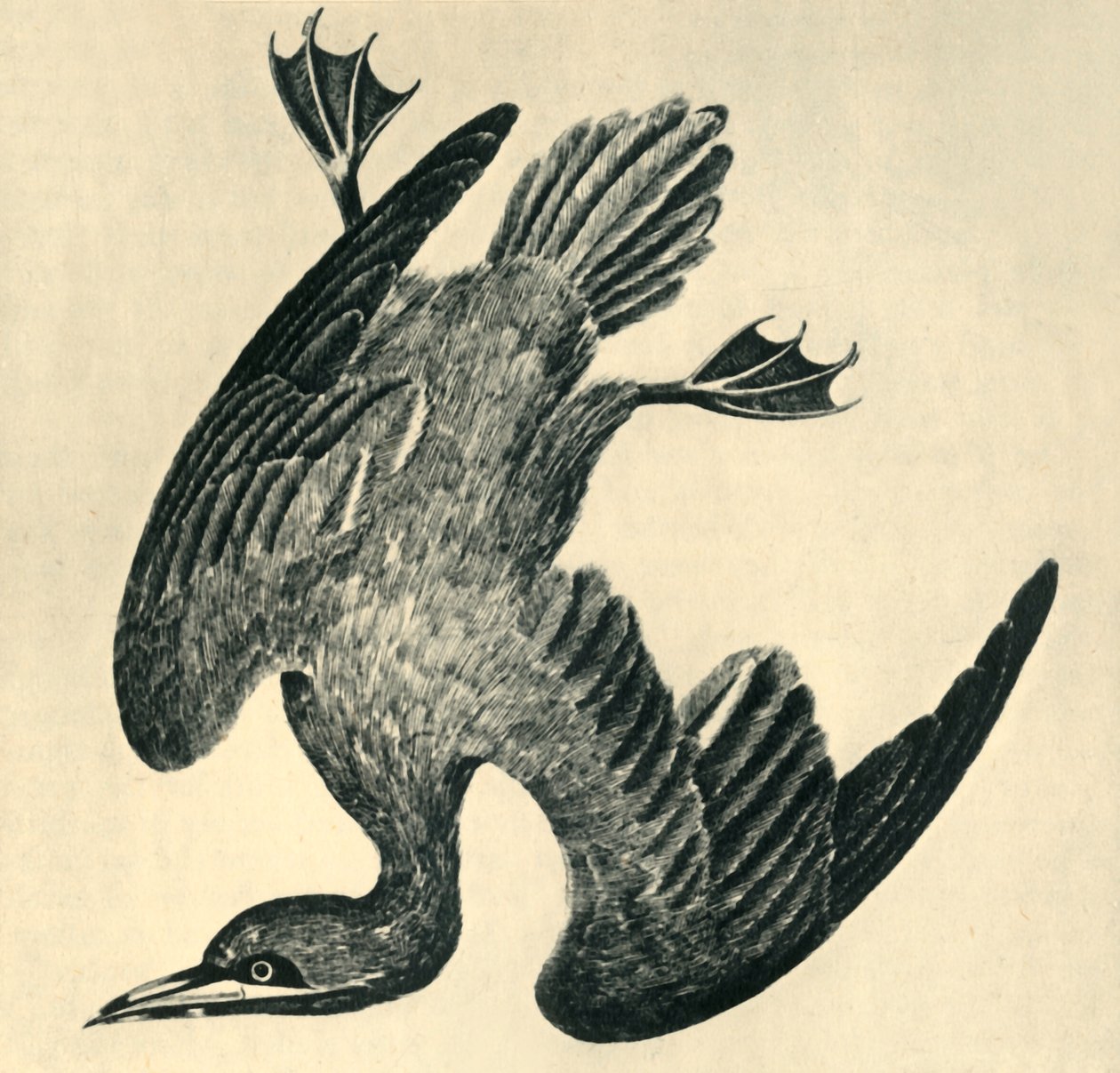 "جانيت" ، 1799 ، 1946. بواسطة موسى جريفيث