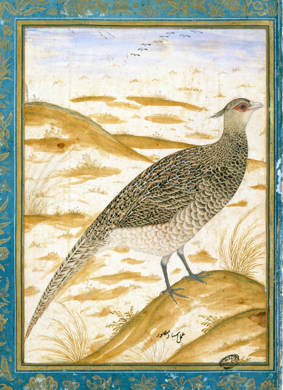 الدراج يهتف الهيمالايا ضد المناظر الطبيعية الرملية ، ج .1620 بواسطة مدرسة موغال