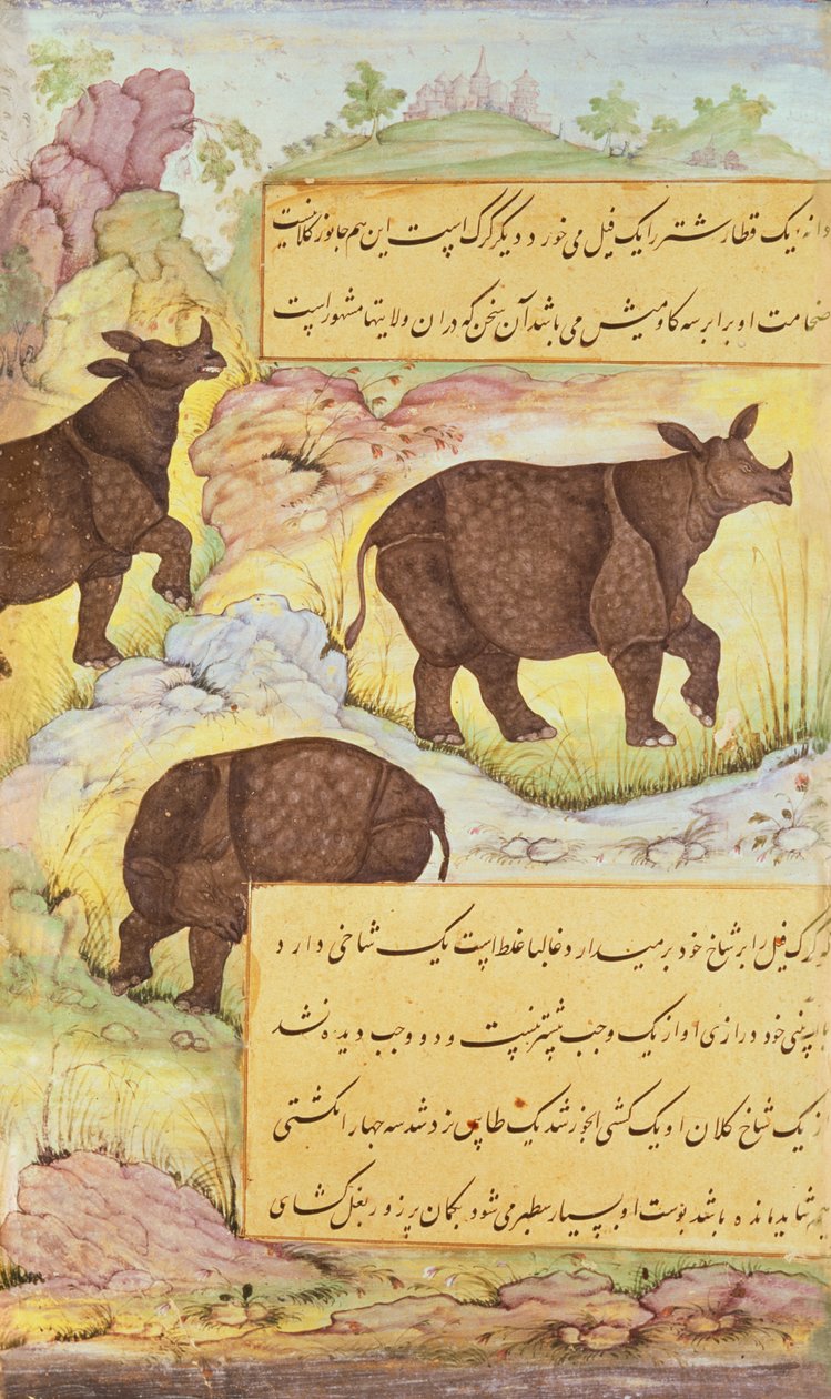 وحيد القرن ، رسم توضيحي من "مذكرات بابور" 1589-90 بواسطة مدرسة موغال