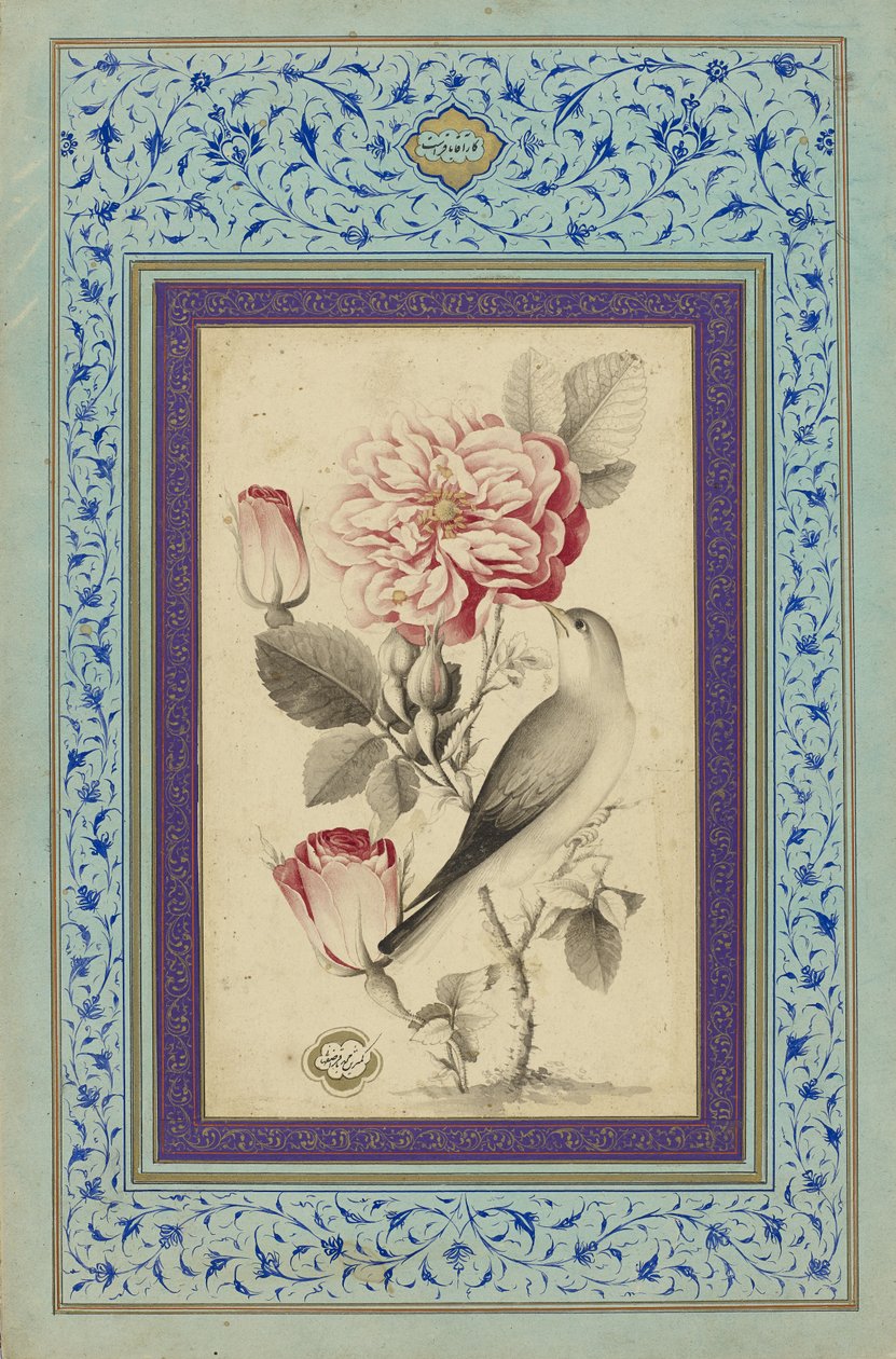 الورود والعندليب، أواخر القرن الثامن عشر (حبر وألوان على ورق) بواسطة محمد باقر