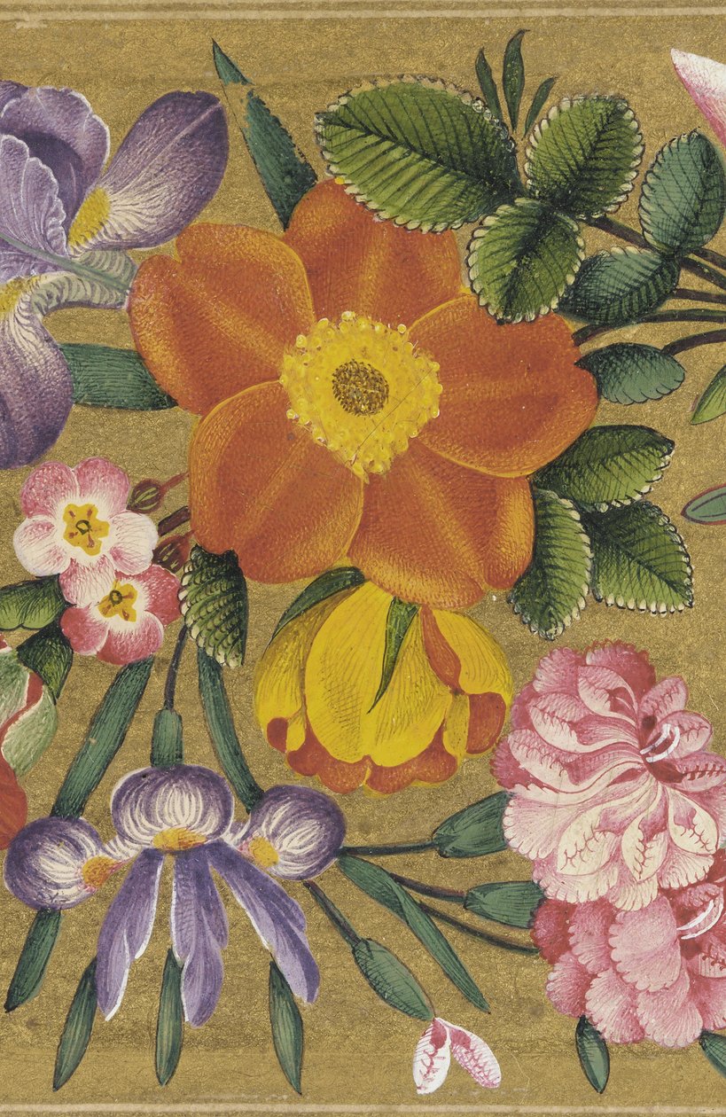 صفحة من ألبوم سانت بطرسبرغ ، الهند ، 1727 (لون على الأرض الذهبية) بواسطة محمد صادق