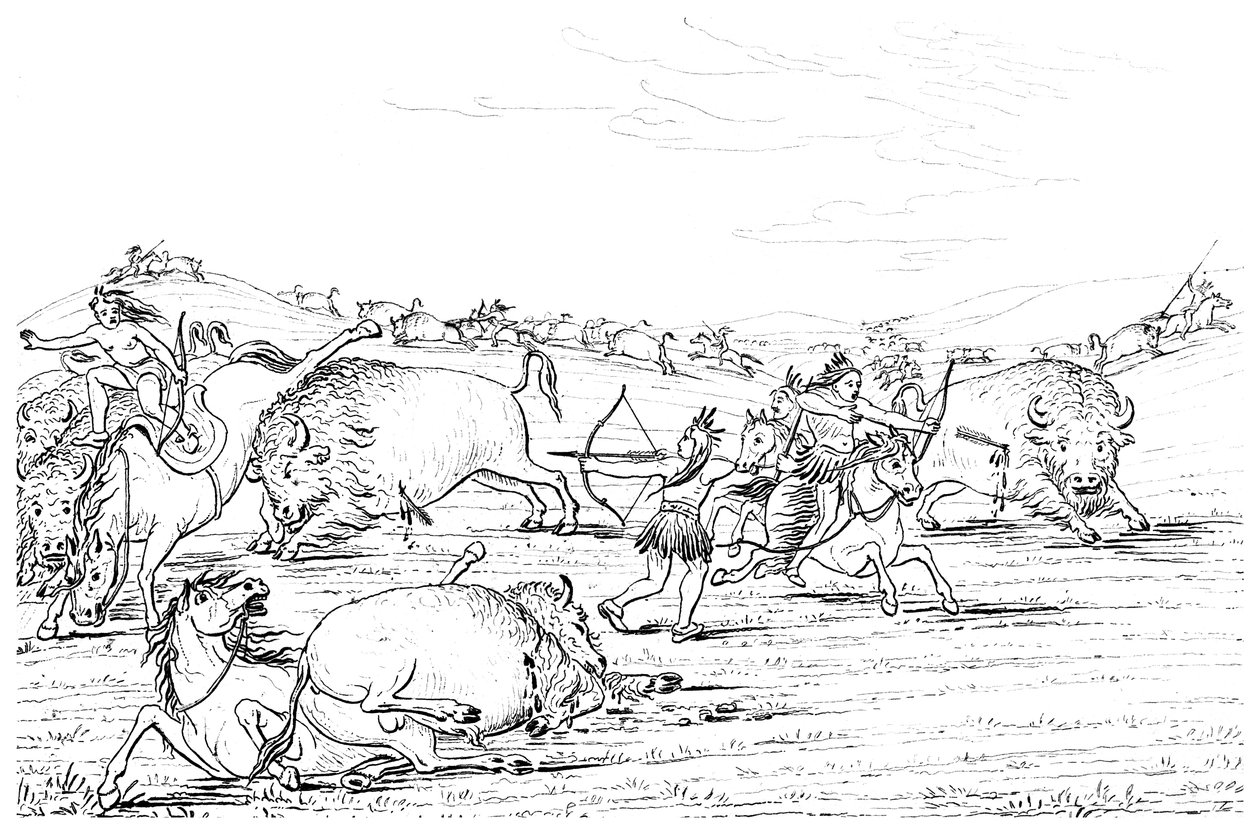 الأمريكيون الأصليون يصطادون الجاموس ، 1841. بواسطة مايرز وشركاه
