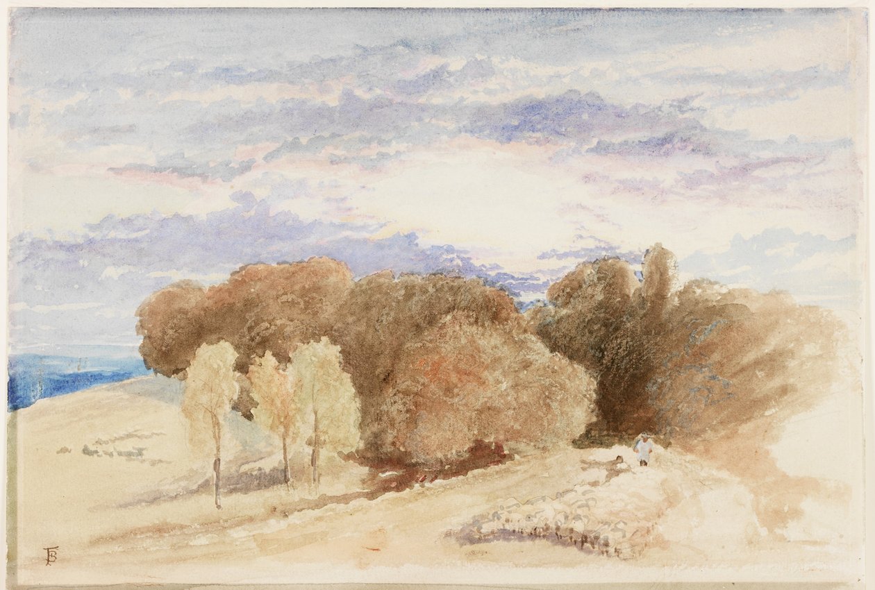 Arundel Park (قلم رصاص وألوان مائية على ورق) بواسطة مايلز بيركت فوستر