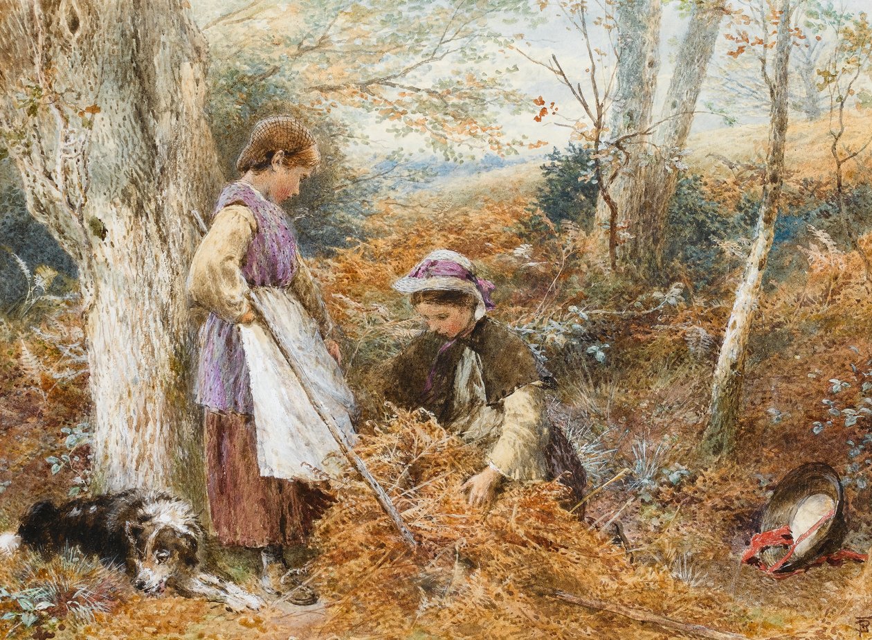 The Fern Gatherers (مرحاض على ورق) بواسطة مايلز بيركت فوستر