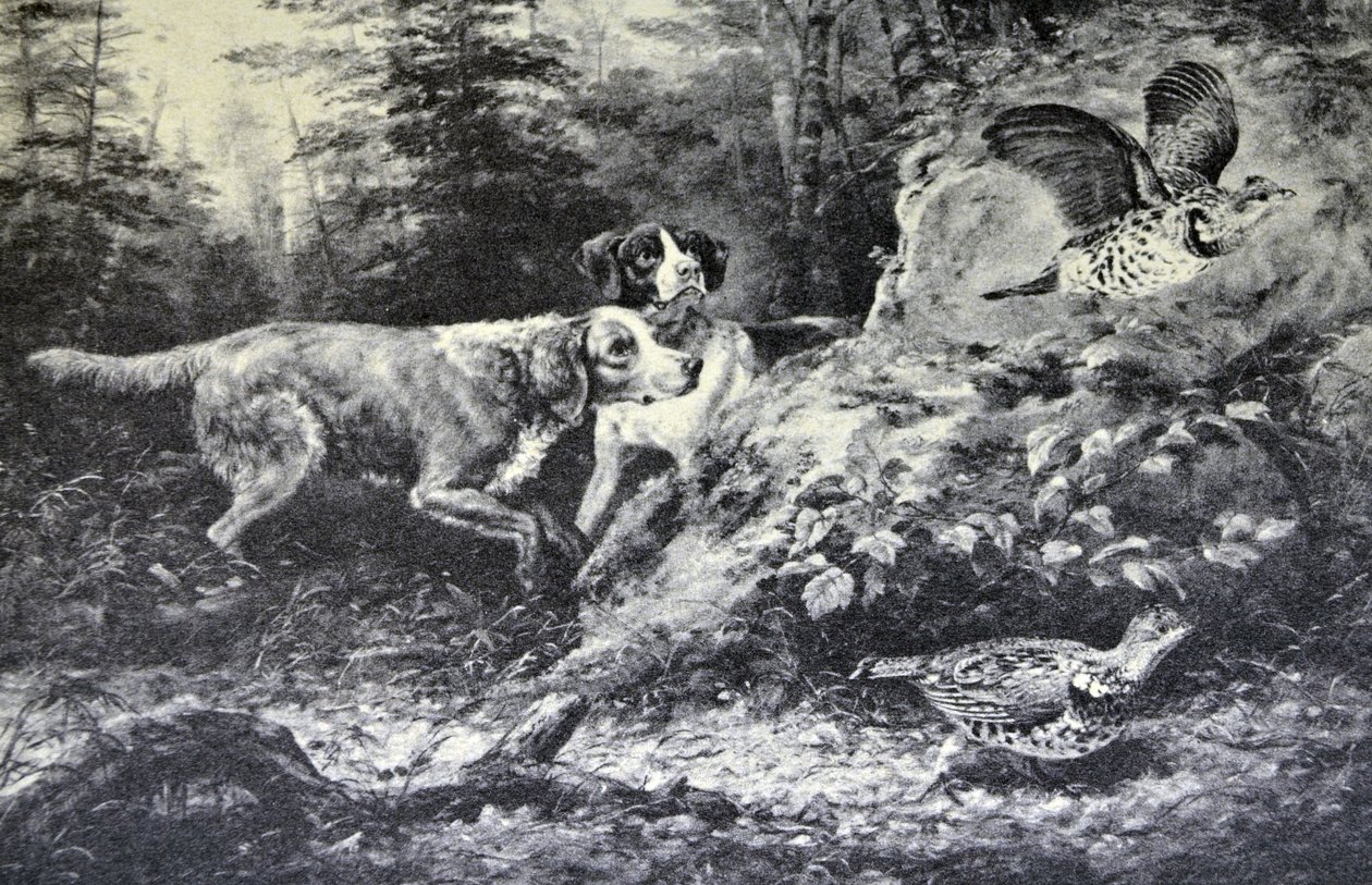 Currier & Ives Illustration القرن التاسع عشر. الرياضة الميدانية الأمريكية. Flushd (لوحة زيتية أصلية من تأليف آرثر فيتزويليام تايت ، NA ، والتي تم عمل الطباعة منها. بواسطة N. and Ives، JM Currier