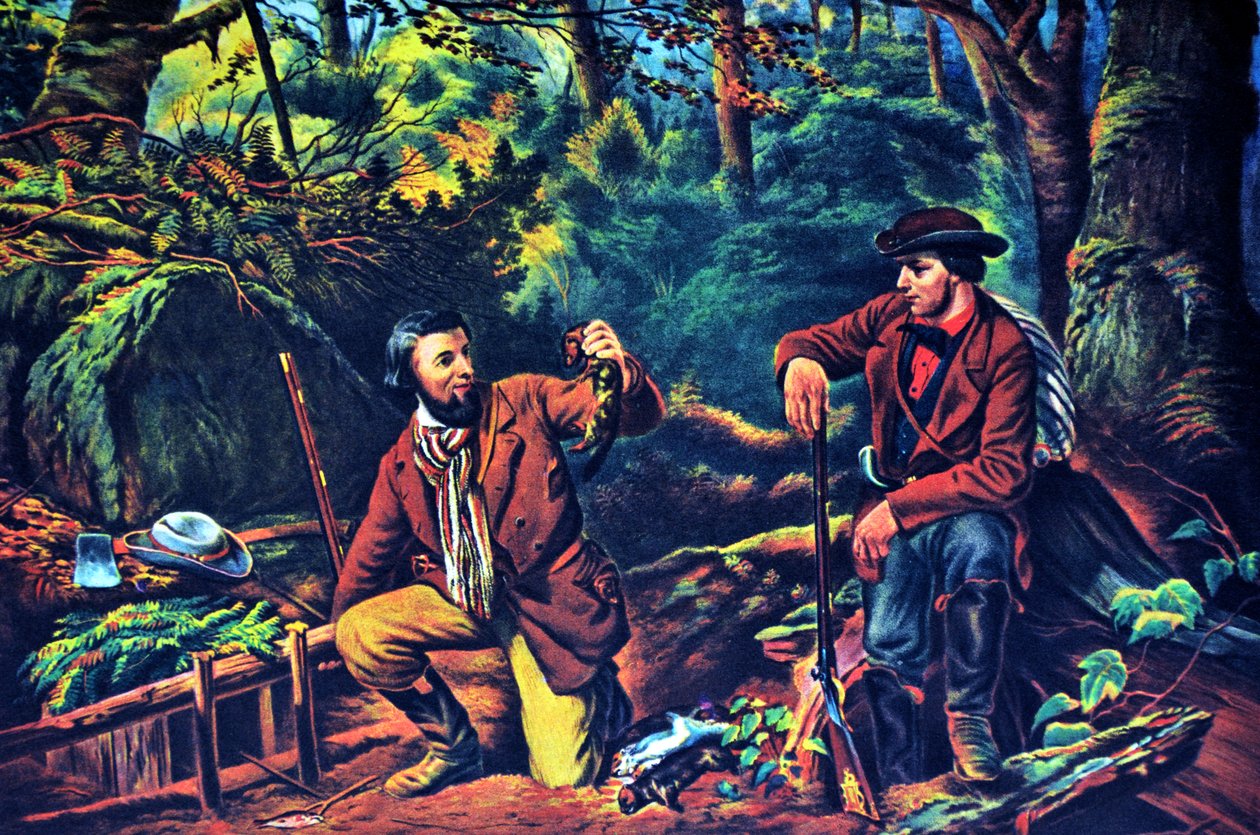 Currier & Ives Illustration القرن التاسع عشر. رئيس مينك Trapping بواسطة N. and Ives، JM Currier