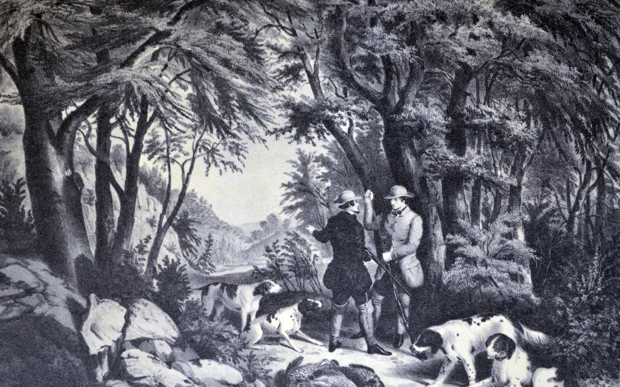 Currier & Ives Illustration القرن التاسع عشر. تصوير الحجل بواسطة N. and Ives، JM Currier