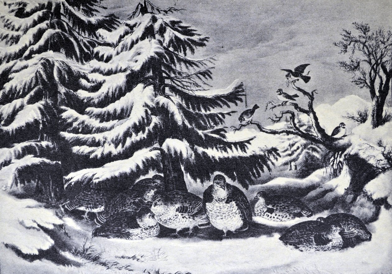 Currier & Ives Illustration القرن التاسع عشر. أثلج ، طيه تكدرت في فصل الشتاء بواسطة N. and Ives، JM Currier