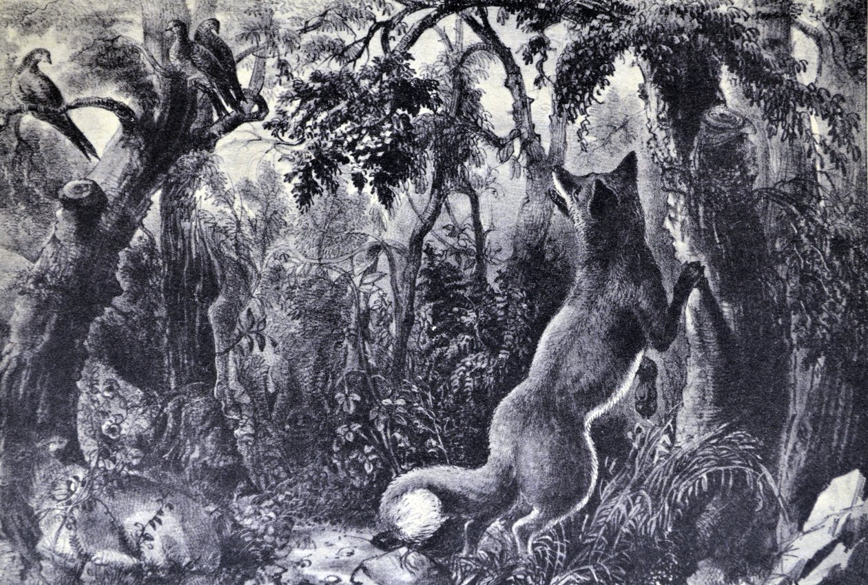 Currier & Ives Illustration القرن التاسع عشر. الثعلب المحير بواسطة N. and Ives، JM Currier