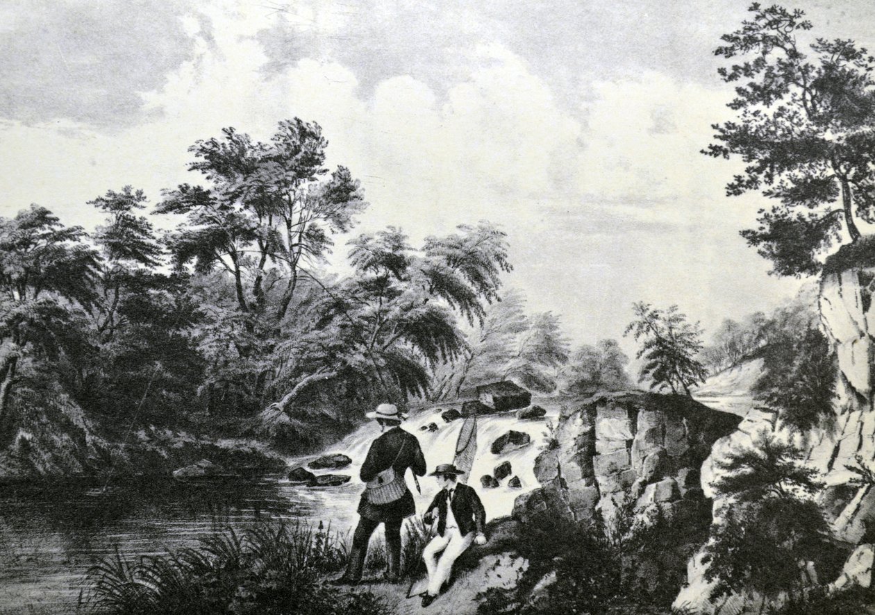 Currier & Ives Illustration القرن التاسع عشر. تيار التراوت بواسطة N. and Ives، JM Currier