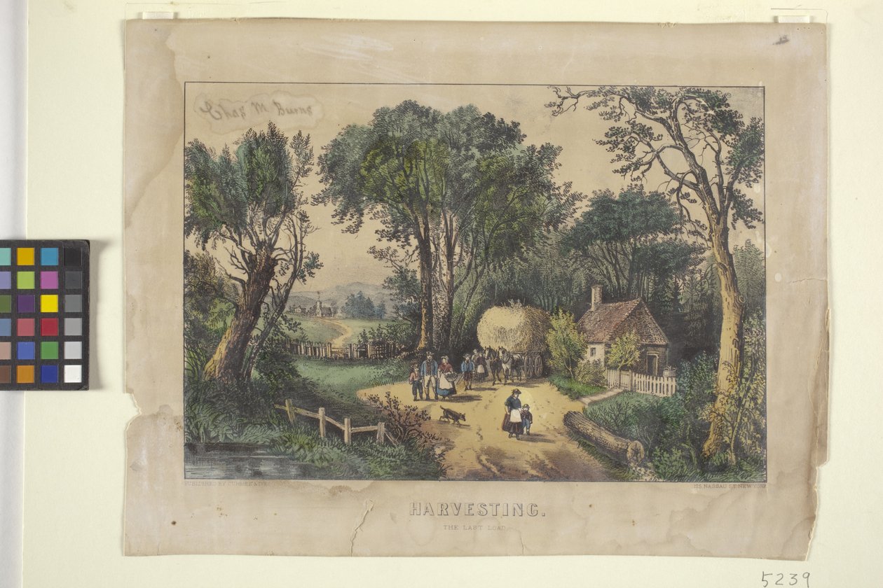 حصاد. الحمولة الأخيرة (طباعة حجرية ملونة يدويًا) بواسطة N. and Ives JM (1824 95) Currier