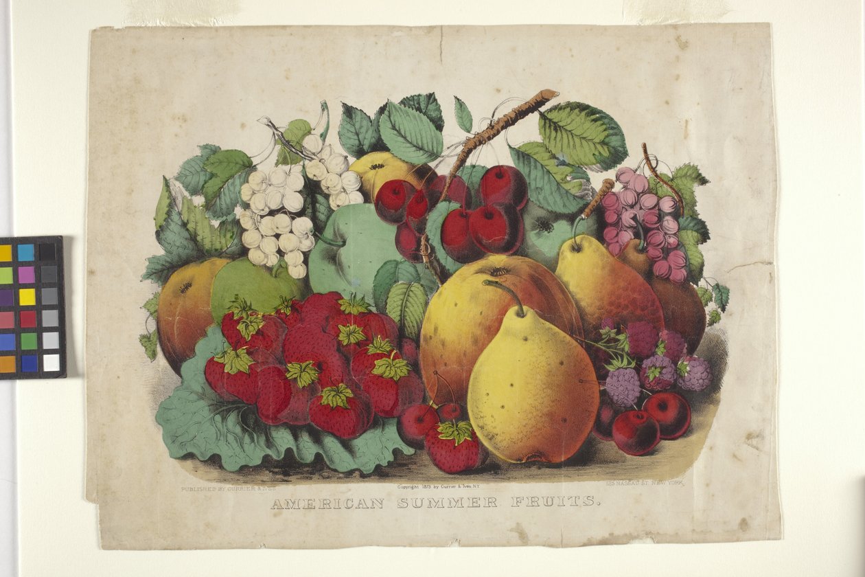American Summer Fruit (طباعة حجرية ملونة يدويًا) بواسطة N. and Ives JM (1824 95) Currier