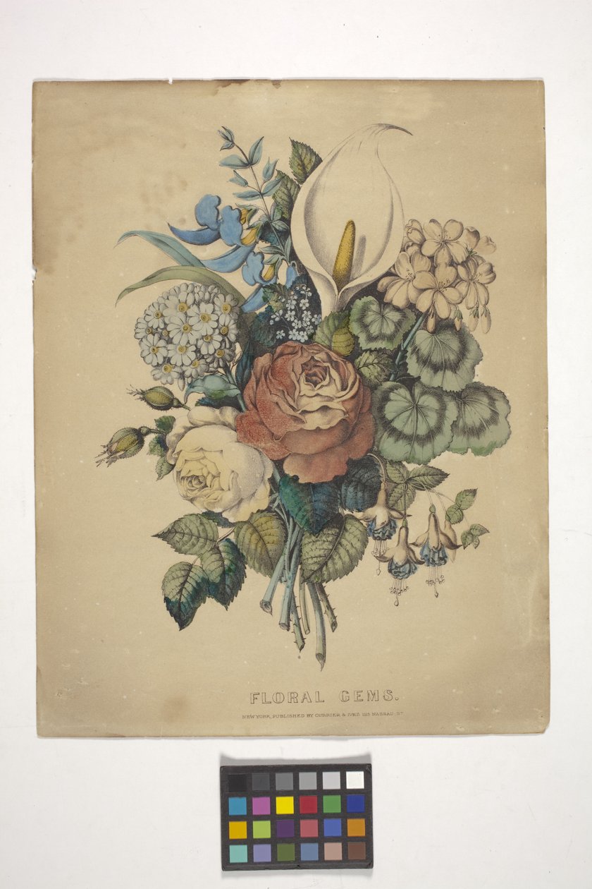 أحجار كريمة زهرية (مطبوعة حجرية ملونة يدوياً) بواسطة N. and Ives JM (1824 95) Currier