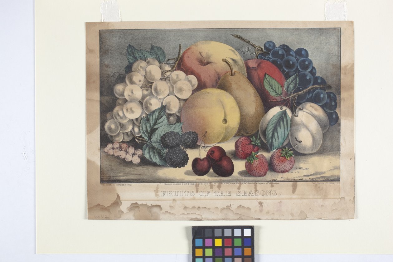 ثمار الموسم (طباعة حجرية ملونة يدويًا) بواسطة N. and Ives JM (1824 95) Currier