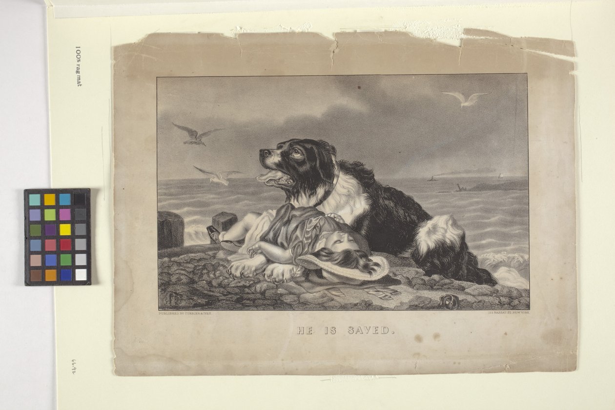 تم حفظه (طباعة حجرية ملونة باليد) بواسطة N. and Ives JM (1824 95) Currier