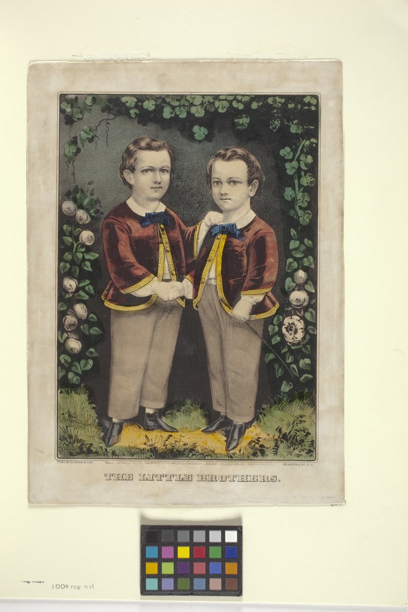 ليتل براذرز (مطبوعة حجرية ملونة باليد) بواسطة N. and Ives JM (1824 95) Currier