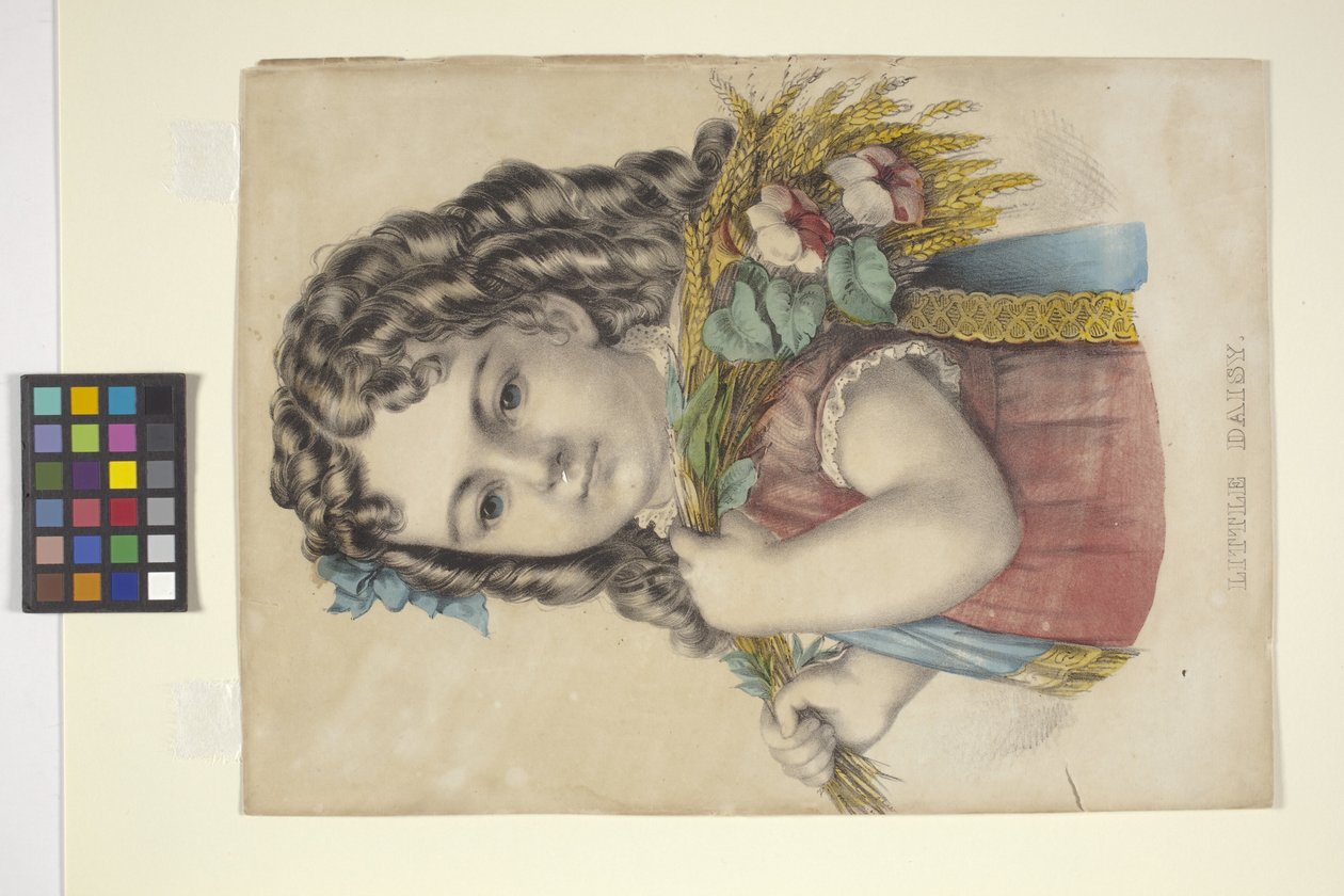 ليتل ديزي (ليثوجراف ملون يدويًا) بواسطة N. and Ives JM (1824 95) Currier