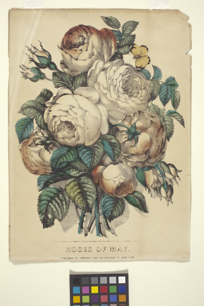 ورود مايو (طباعة حجرية ملونة باليد) بواسطة N. and Ives JM (1824 95) Currier