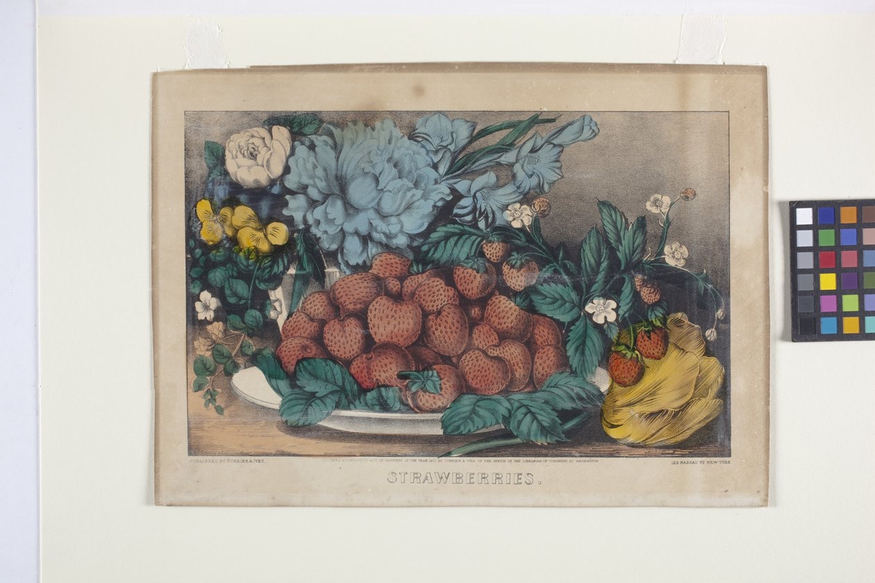 الفراولة (الطباعة الحجرية الملونة يدويًا) بواسطة N. and Ives JM (1824 95) Currier