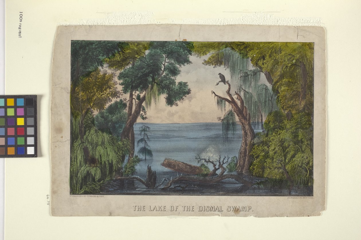 بحيرة المستنقع الكئيب (طباعة حجرية ملونة باليد) بواسطة N. and Ives JM (1824 95) Currier