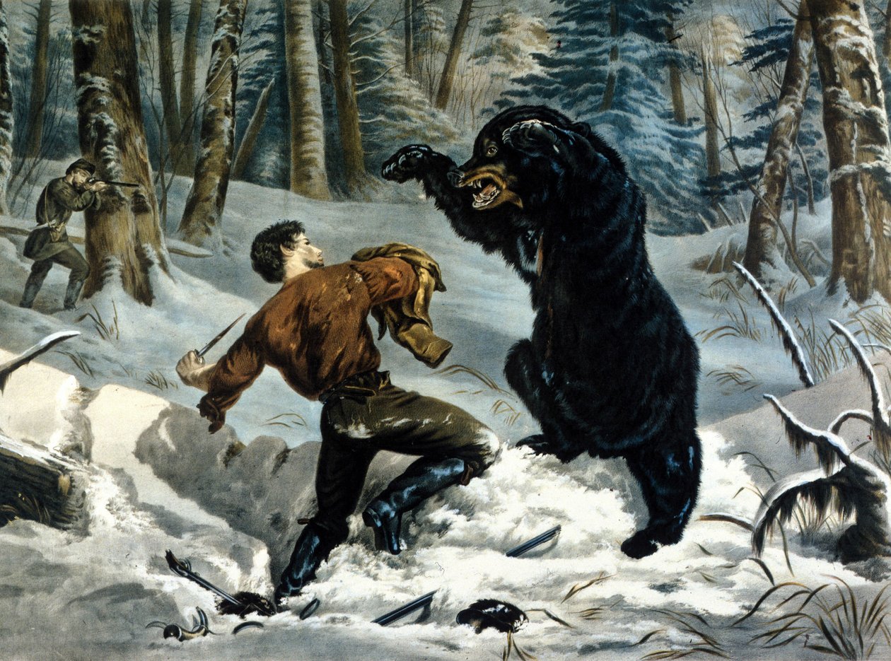 حياة الصيادين (الصيادون المحترفون) في كندا: هاجم دب أشيب صياد. رسم إيضاحي لـ Yves and Currier. بواسطة كوريير وآيفز