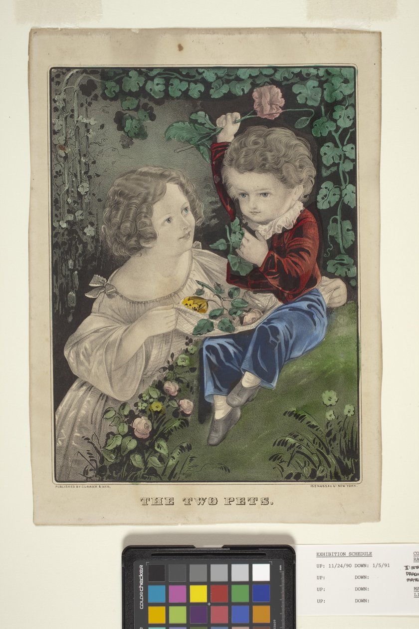 The Two Pets (مطبوعة حجرية ملونة باليد) بواسطة N. and Ives JM (1824 95) Currier
